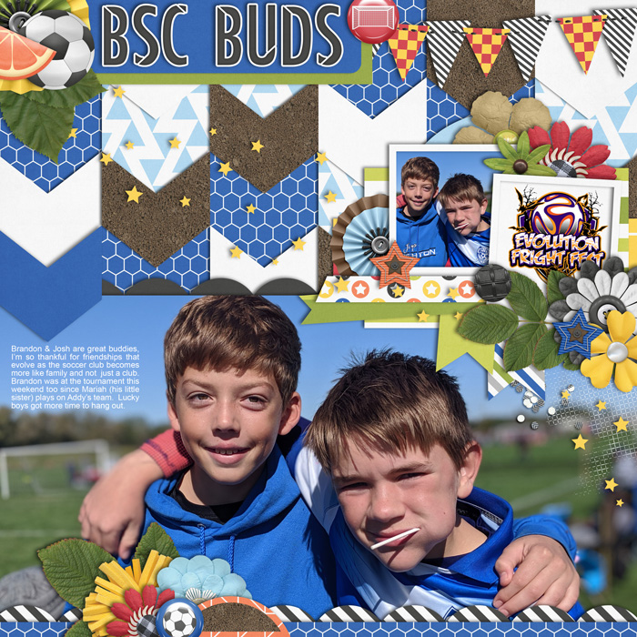bsc-buds
