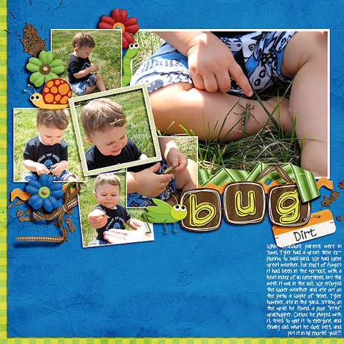 bugdirt-web