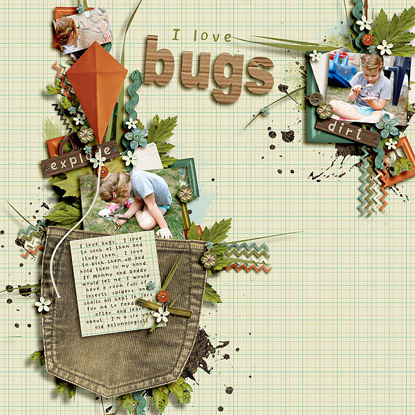 bugs-copy