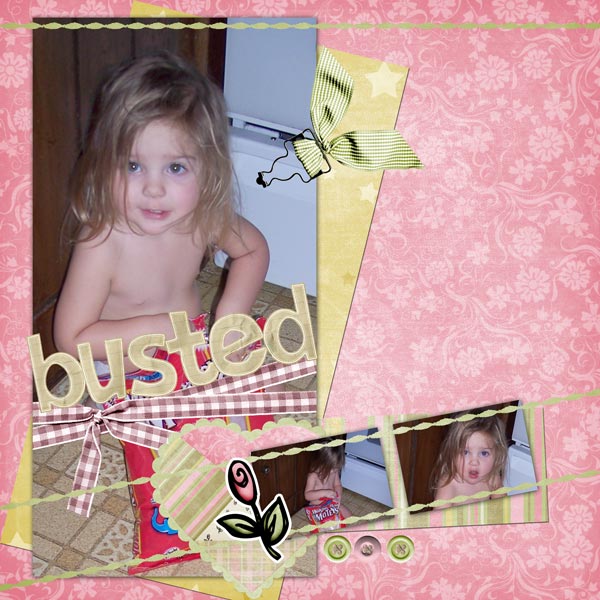 busted_-4-08