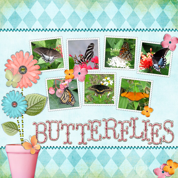 butterflies1