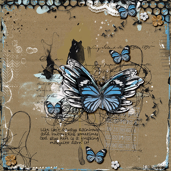 butterflies11