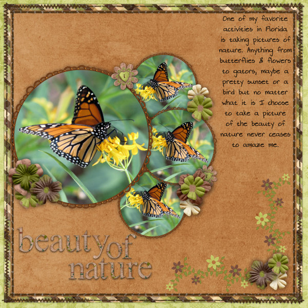butterflies2