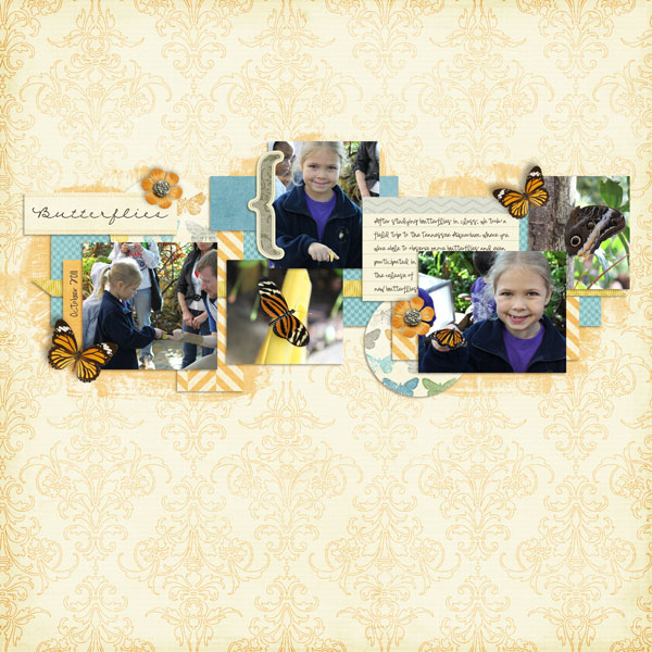 butterflies4