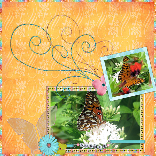 butterfly