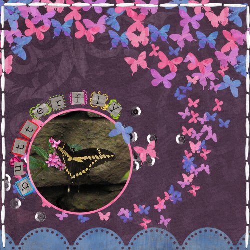 butterfly500