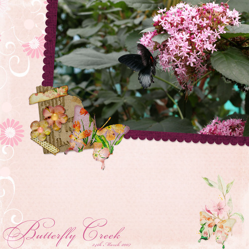 butterfly_creek_SSD