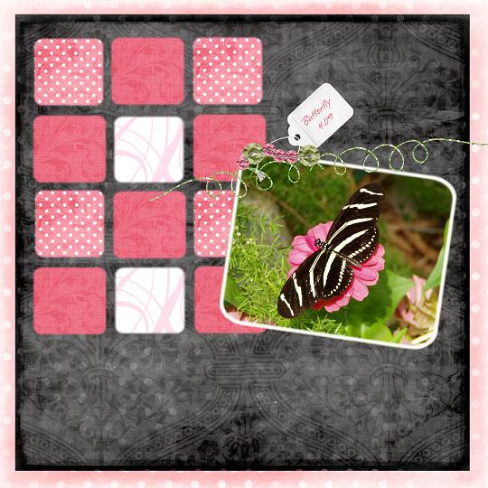 butterfly_sal_9_13_small