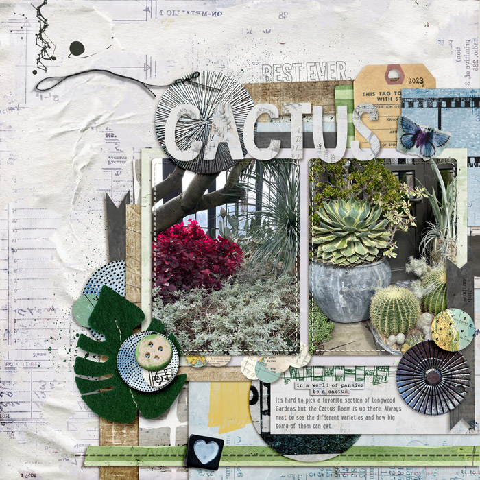 cactus_web