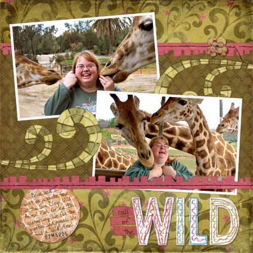 callofthewild_giraffes