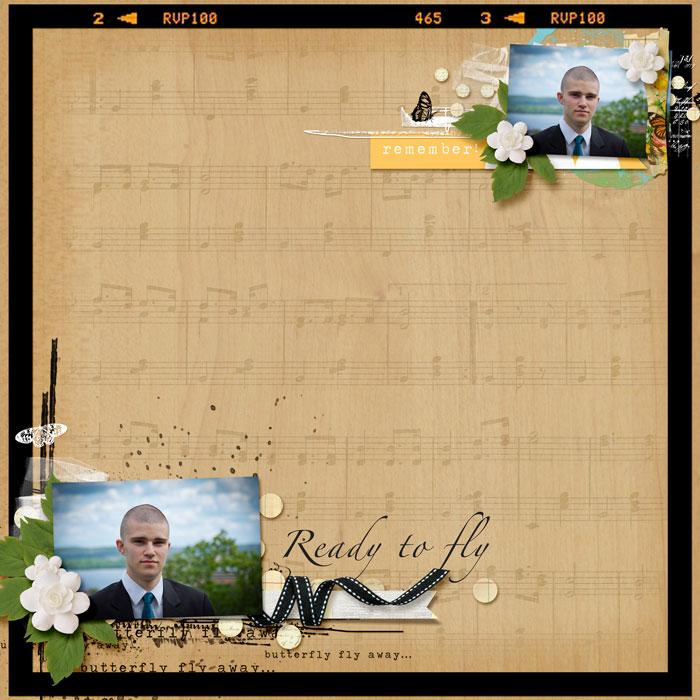carinak-butterflyflyawayaddon-layout001_edited-1