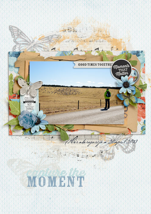 carinak-collectmemories-layout001