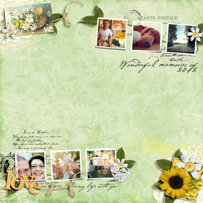 carinak-mysunshine-layout001-700