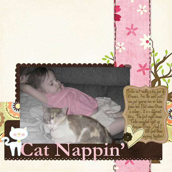 cat-nap