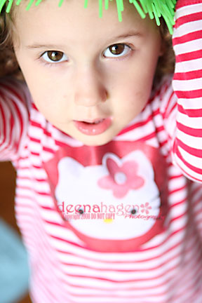 catchlights
