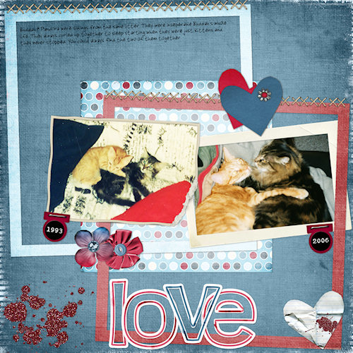 catlove1