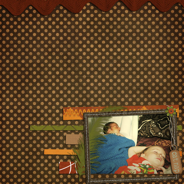 catnap-upload