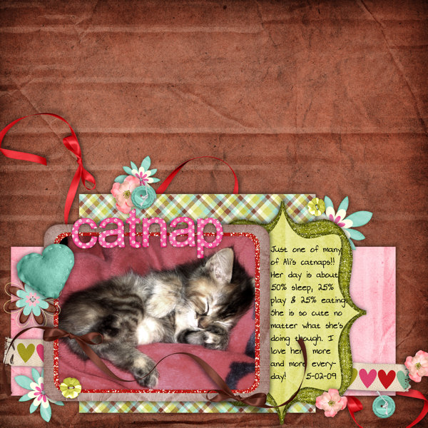 catnap3