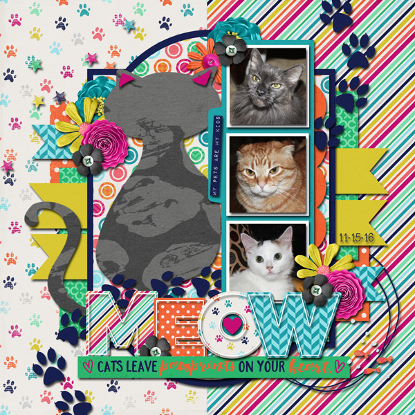 cats-11-15-16