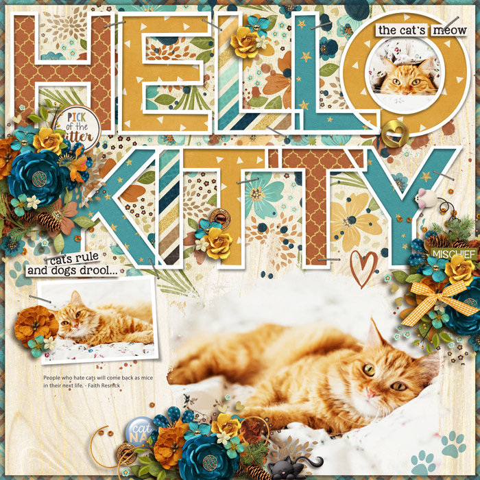 cats-meow_jmjaquez
