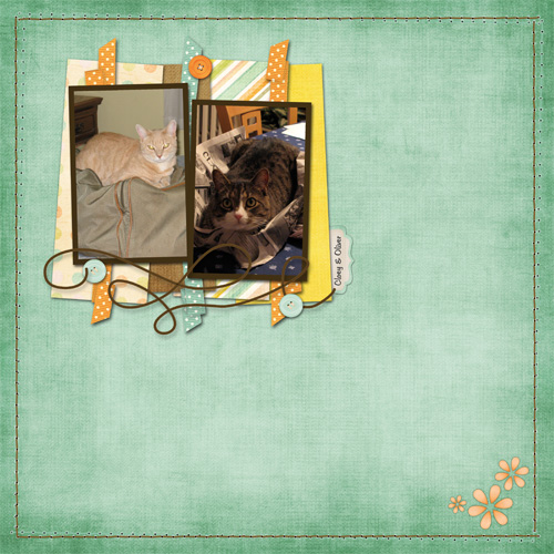 cats