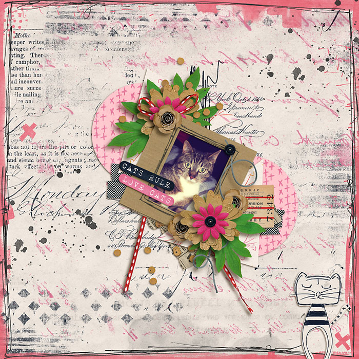 cattitude-small