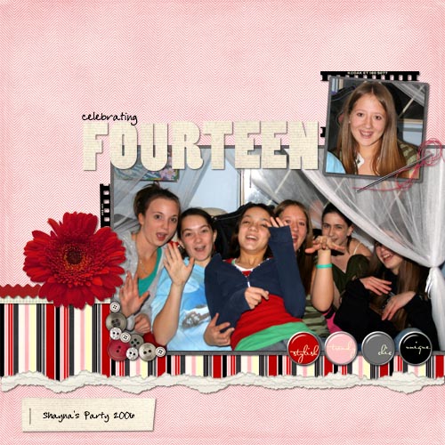 celebratingfourteen_copy