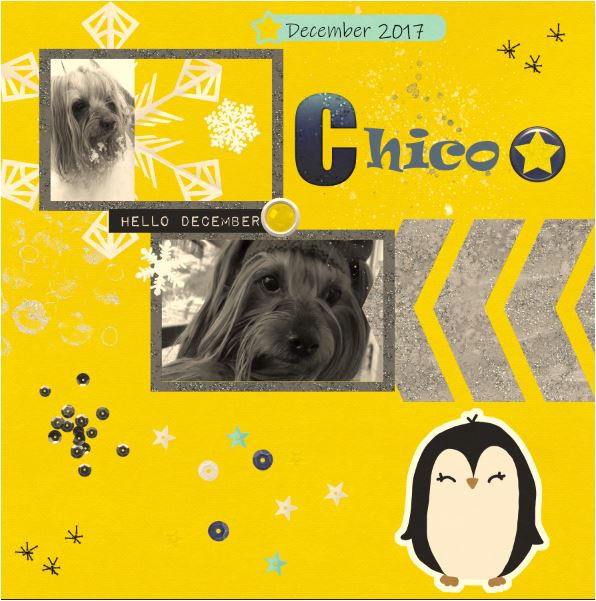 chico