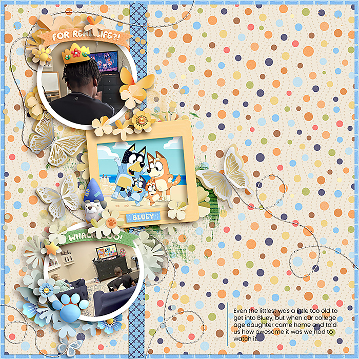 ck-gradient-templates-03a-bluey-kelly