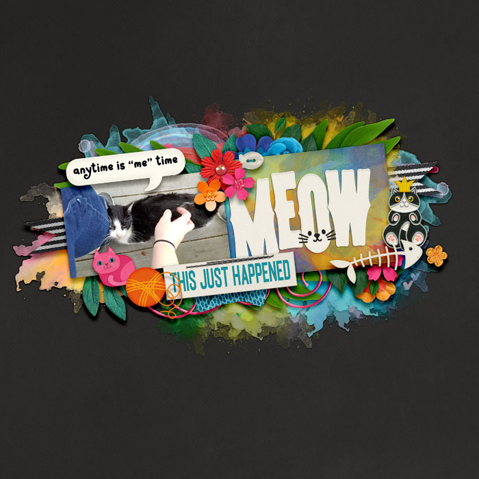 cmg-cat-crazy-