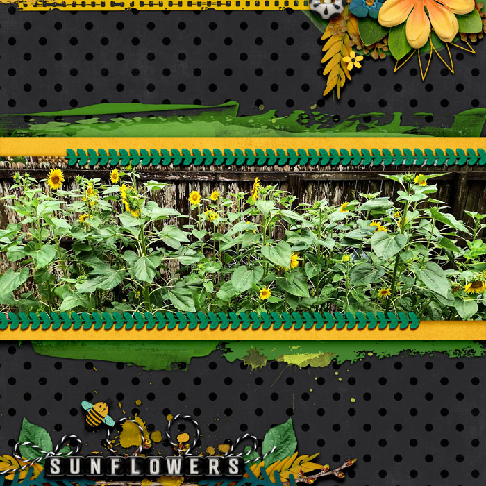 cmg-golden-sunflower--