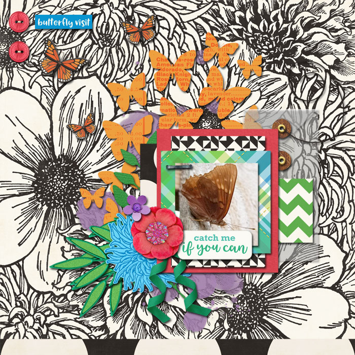 cmg_butterfly_season_cmg_butterflyTemp