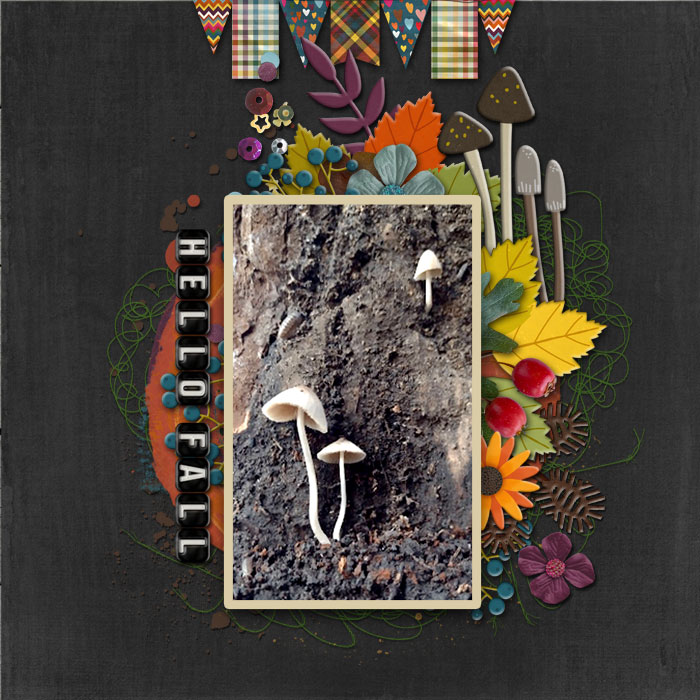cmg_hello-fall_