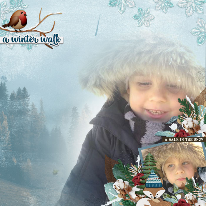 cmg_wendyp-winterwalk_tcot