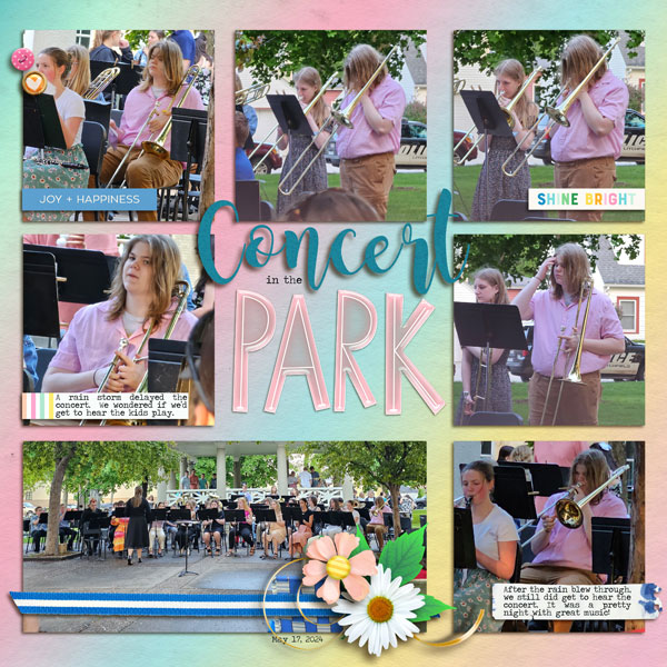 cocnert-in-the-park-copy