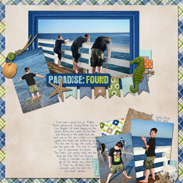 cole-malibu-beach-wr
