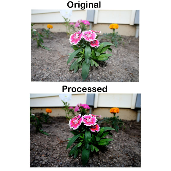 comparison