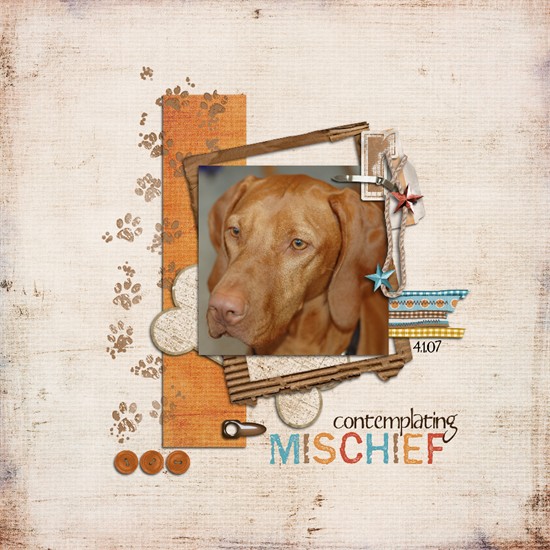 contemplating_mischief_550x550