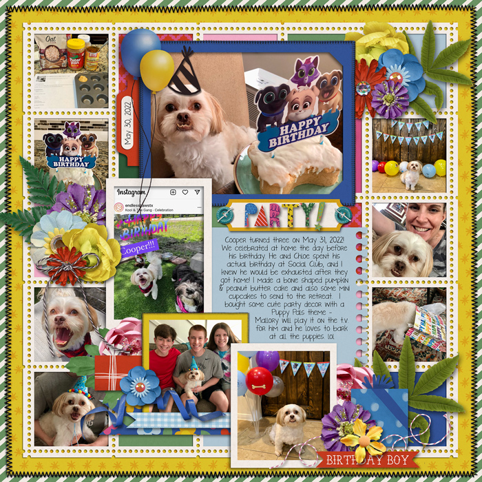 cooperis3web