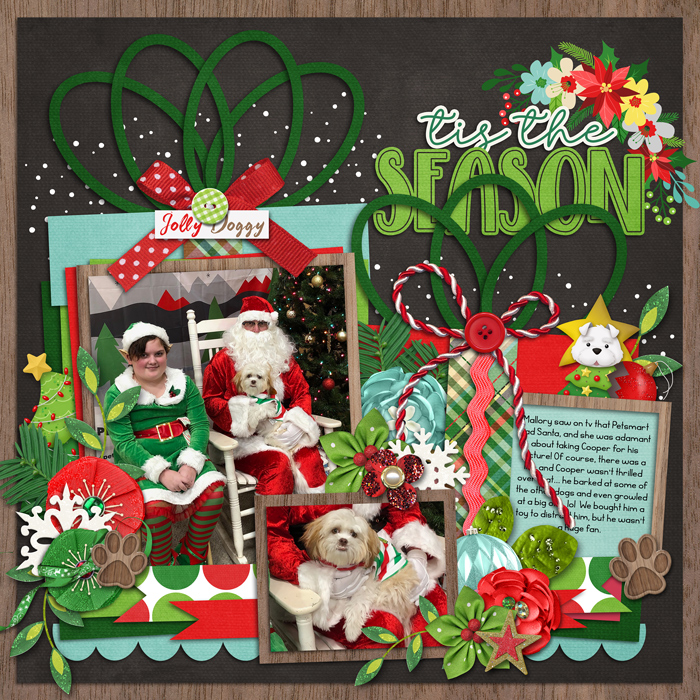 coopersantaweb
