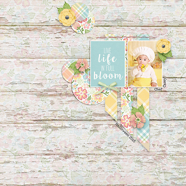 cottontailncolo_web