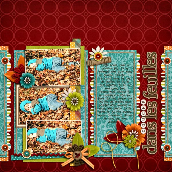couch_-dans-les-feuilles2