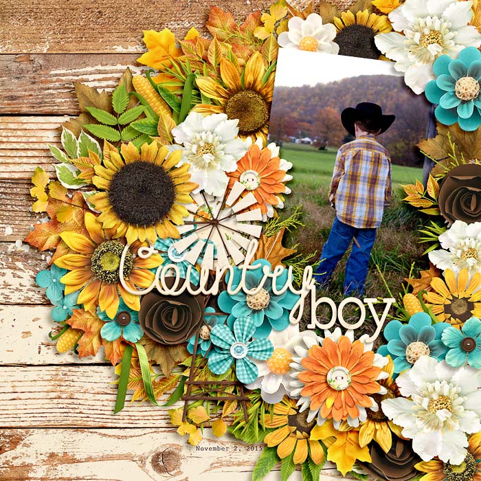countryboy