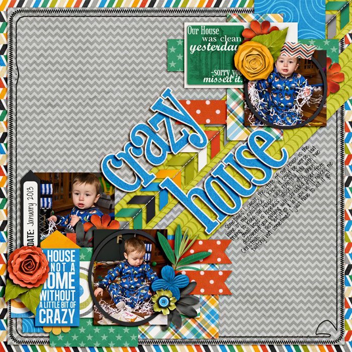 crazy-houseSSD