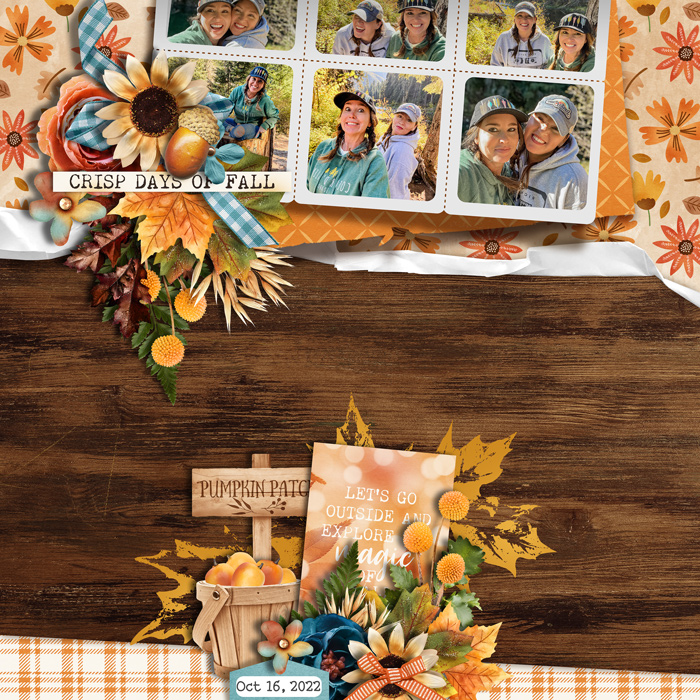 crispdaysoffall2023web