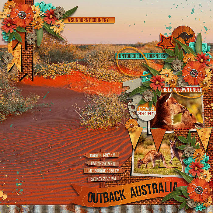 cs-aloutback