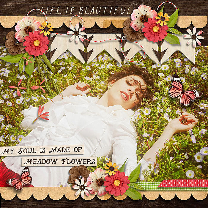 cs-anaturalbeauty1