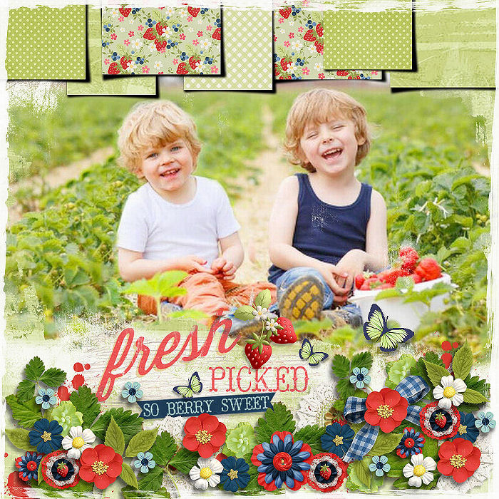 cs-berrypicking