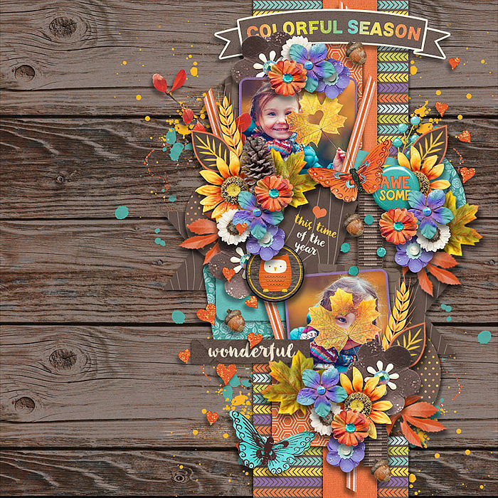 cs-colorfallseason