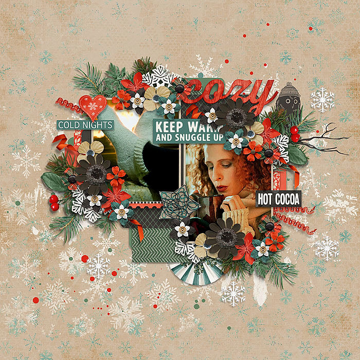 cs-cozywinter